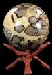 Polished Septarian Sphere - lbs #43788-1